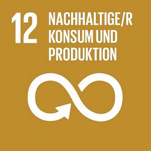 Entwicklungsziel 12: Nachhaltige Produktions- und Konsummuster