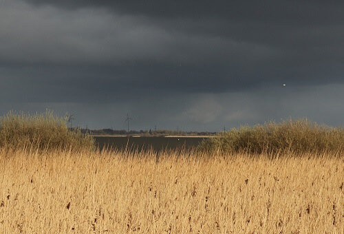 Wolken über eine See mit Schilf